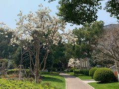 -张江润和国际总部园