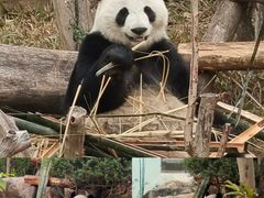 -南宁市动物园