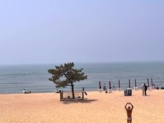 -青岛第二海水浴场