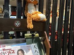 -纪州豚骨酱油拉面(锦延路店)