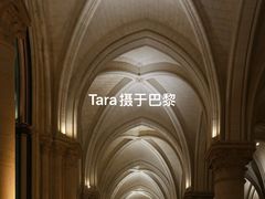 -巴黎圣母院