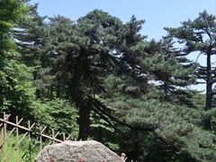 -黄山风景区