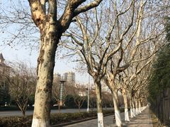 -浦东图书馆读者餐厅