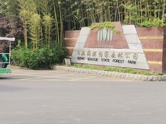 -日照海滨国家森林公园
