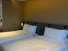 -新加坡瑞士史丹福酒店