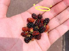 -白鹭湾湿地公园