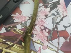 -花里花店(唐镇阳光天地店)