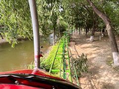 -长白岛森林公园