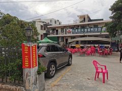 -霞姐屯昌枫木香草鸭店(海螺店)