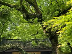 -灵顺寺