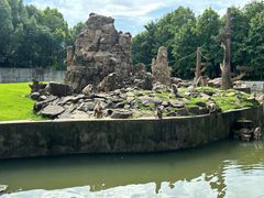 -合肥野生动物园