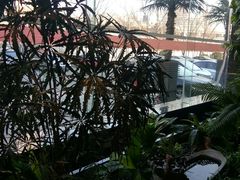 -东方之珠洗浴休闲广场(南开店)