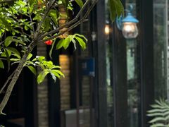 -野蔓果·山野菜(西湖景区·龙井茶田店)