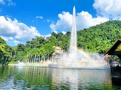 -西双版纳原始森林公园