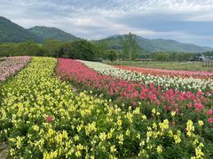 -径山花海