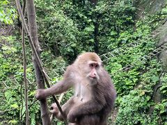 -峨眉山风景名胜区