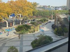 -青藤茶馆(凤起路店)