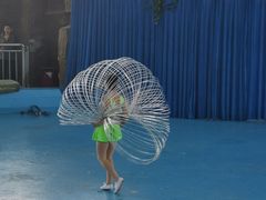 -泉州海丝野生动物世界