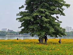 -海珠湖公园
