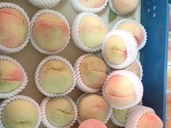 -老袁家蜜桃农场·阳山水蜜桃