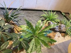 -奈雪茶院·茶室茶馆(广州粤海天地店)