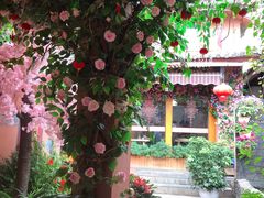 -胖子菜馆(花园餐厅店)