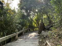 -草庵摩尼教遗址公园