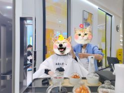 -G-SAGA形象设计
