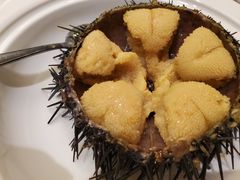 海胆-奕景海鲜(星海广场店)