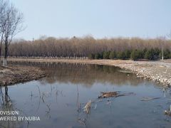 -东郊湿地公园