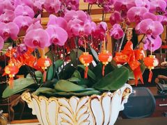 -黄埔华苑酒家(黄埔店)