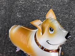 -南宁国际会展中心(会展东博文化旅游区)
