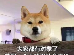 -山河屯铁锅炖(哈西站店)