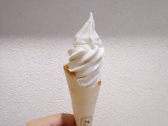 冰激凌-喜茶(深圳东门1234店)
