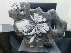 -中国地质大学逸夫博物馆