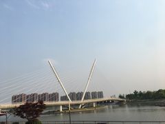 -映月湖中央公园