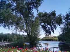 -长春公园(普阳街道)