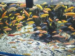 -太平洋海底世界