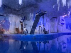 -多彩贵州城极地海洋世界