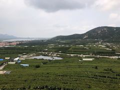 -大泽山风景名胜区