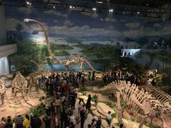 -自贡恐龙博物馆