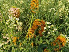 -中国天府农业博览园