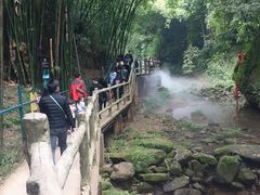 -川西竹海景区