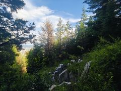 -长虫山生态公园风景林