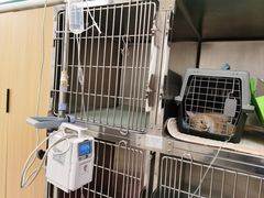 -美联众合动物医院·24h京西诊疗中心