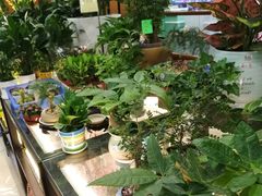 -聚乐荟生鲜食品超市(浦东广场店)