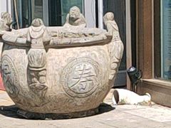 -浩运·海鲜青岛菜·海胆水饺(石老人店)