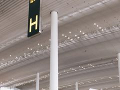 -广州白云国际机场-T2航站楼