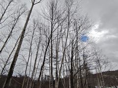 -青池