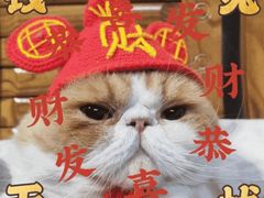 -簋街